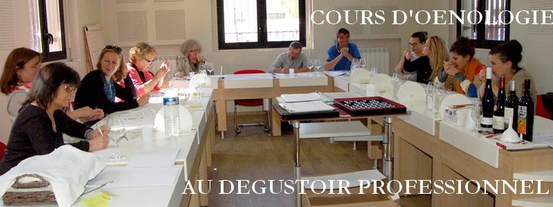 cours oenologie degustoir professionnel.jpg